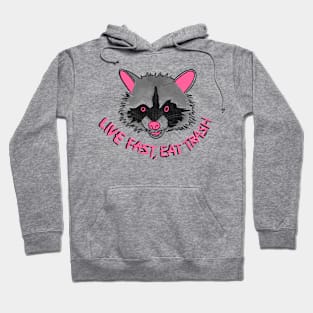 Live fast raccoon (pink) Hoodie